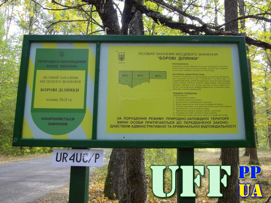 Звіт з UTFF-2008